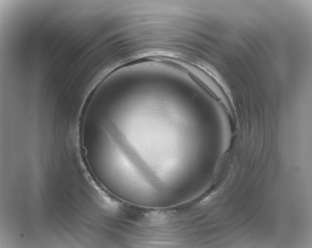 X0000068860898200605051236