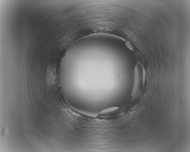 X0000068860915200605051235