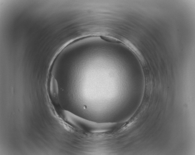 X0000068860956200605051235