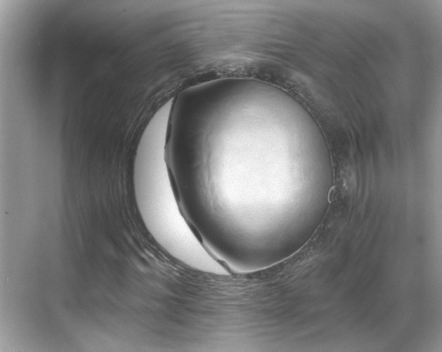 X0000068860964200605051234