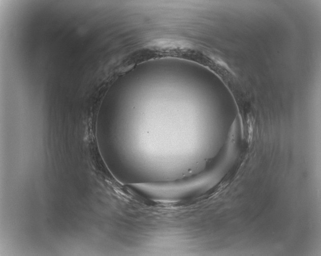 X0000068860965200605051234