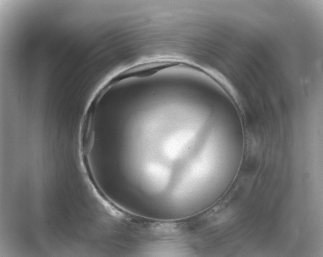 X0000068861006200605051234