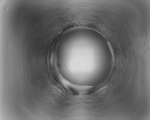 X0000068861010200605051233