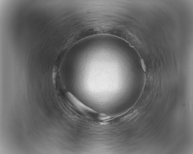 X0000068861012200605051233