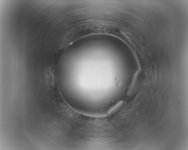 X0000068861013200605051233