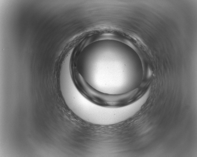 X0000068861016200605051233
