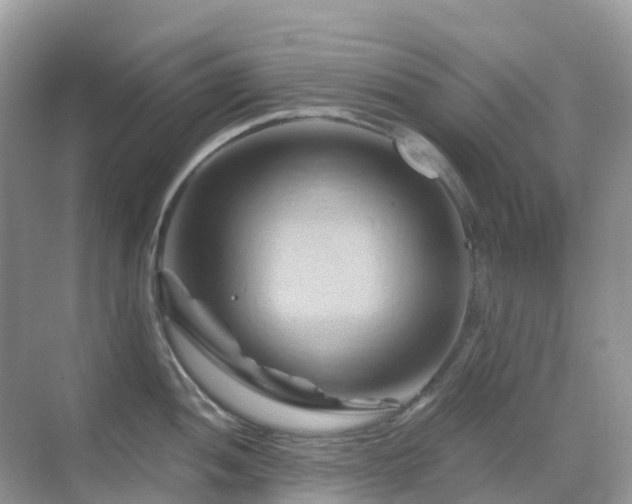 X0000068861052200605051234
