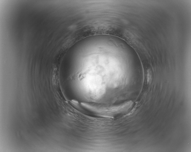 X0000068861059200605051233