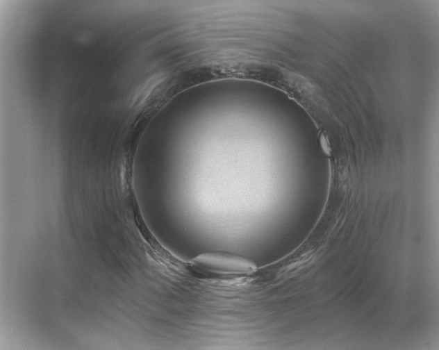 X0000068861060200605051233