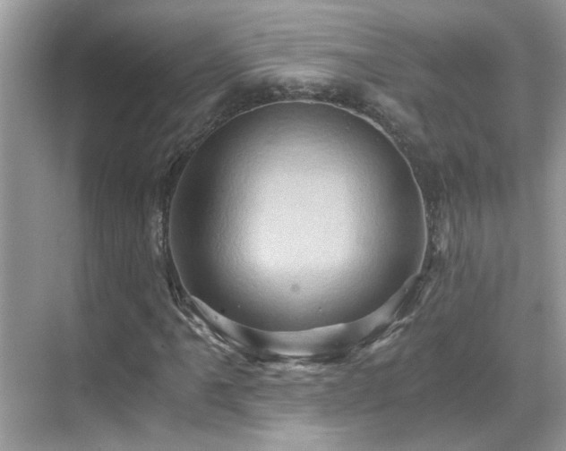 X0000068861061200605051233