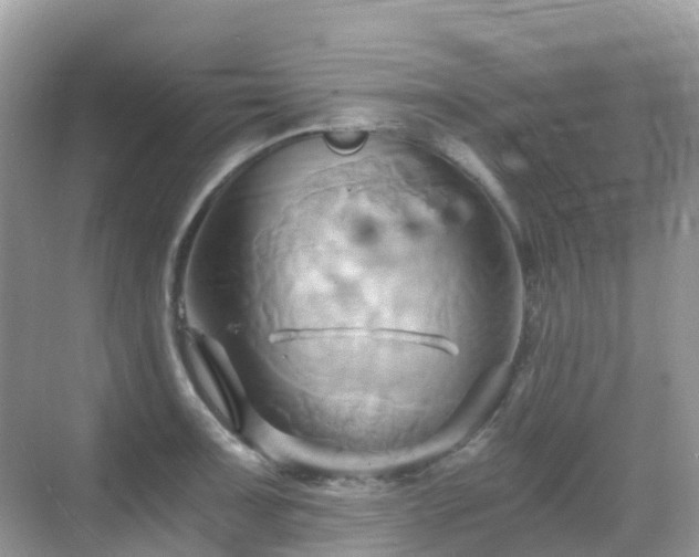 X0000068861091200605051232