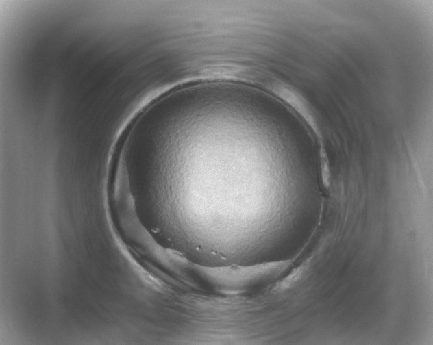 X0000068861093200605051232