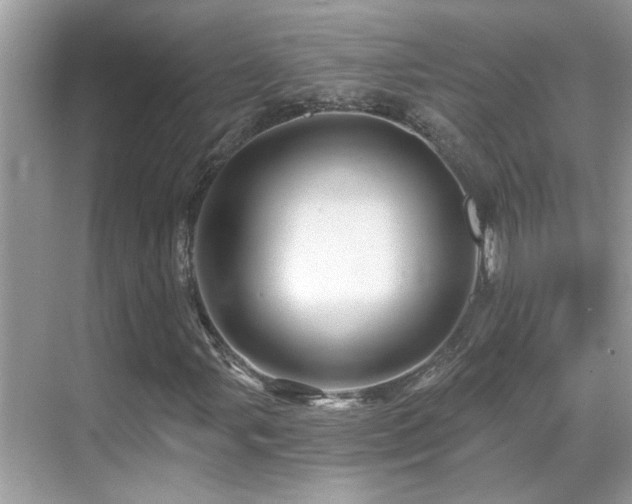 X0000068861107200605051231