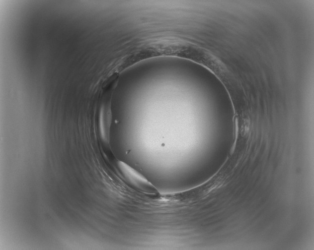 X0000068861108200605051231
