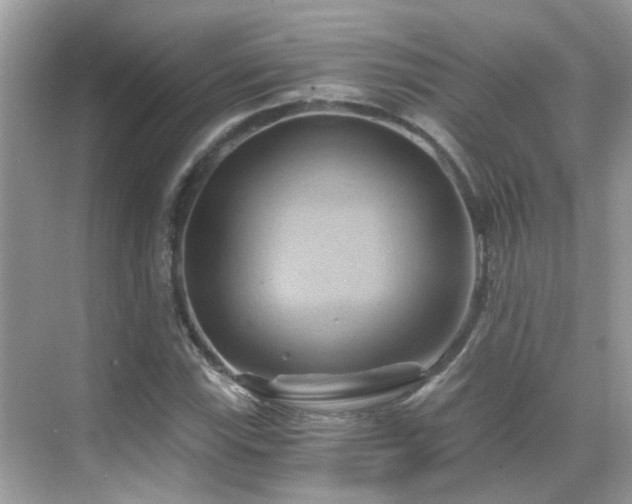 X0000068861115200605051231