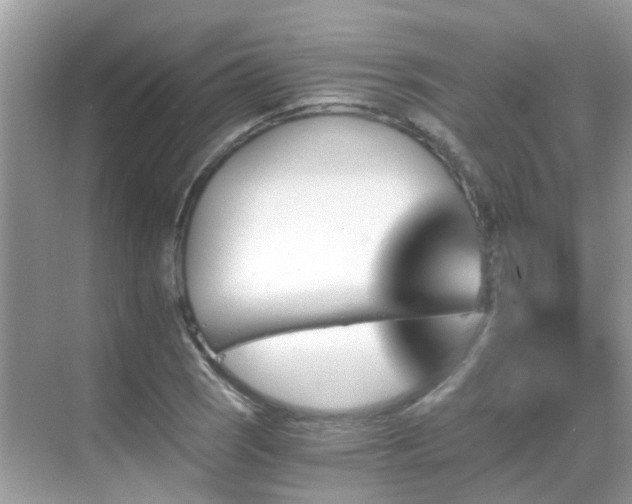 X0000068861121200605051231