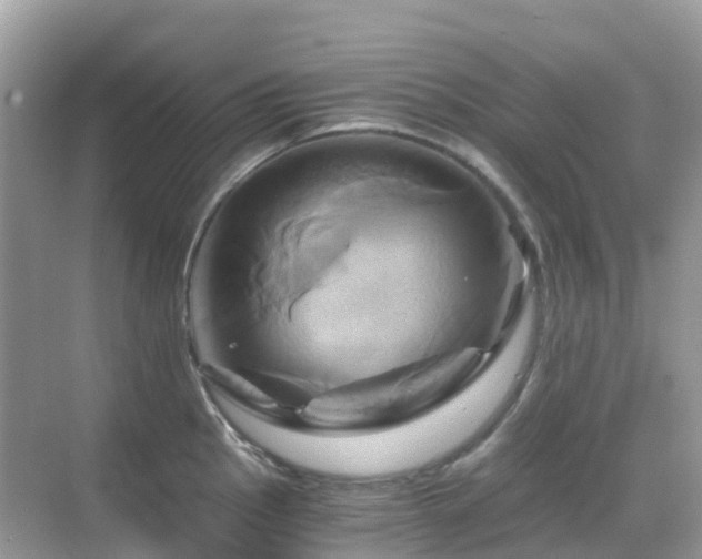 X0000068861145200605051232