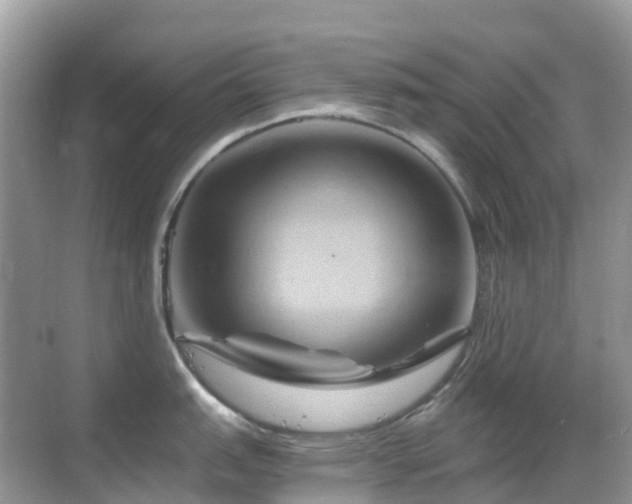 X0000068861151200605051232