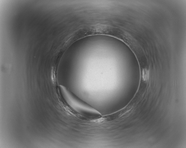 X0000068861155200605051231