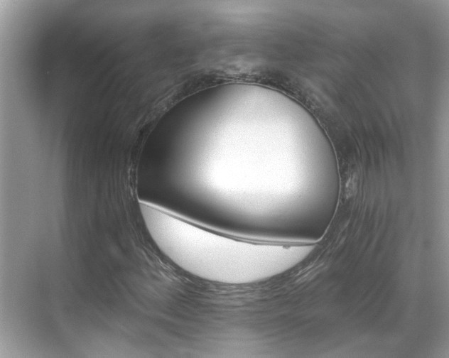 X0000068861156200605051231