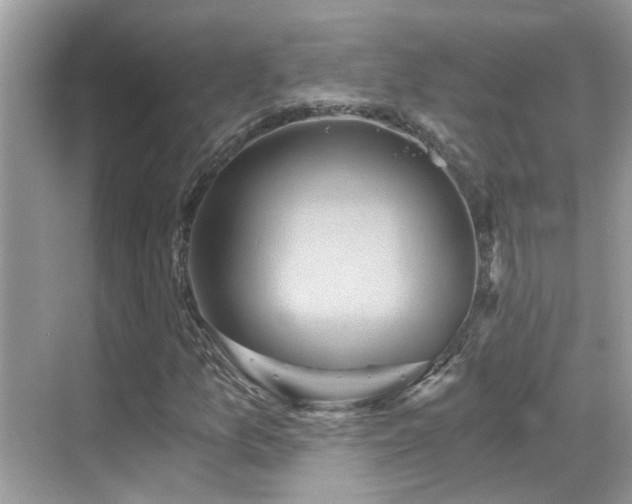 X0000068861157200605051231