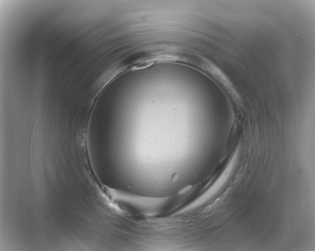 X0000068861193200605051231