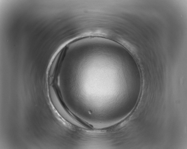 X0000068861200200605051230