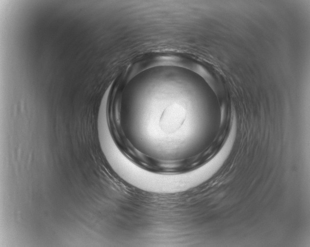 X0000068861202200605051230