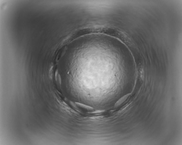 X0000068861204200605051230