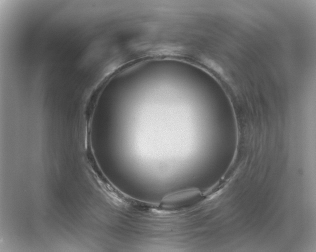 X0000068861219200605051230