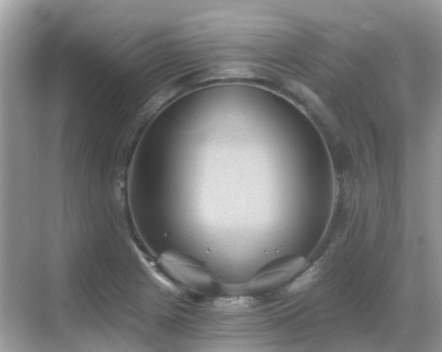 X0000068861225200605051230