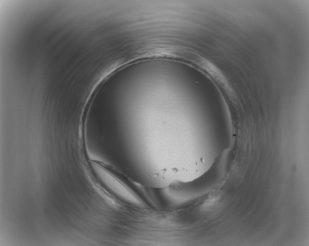 X0000068861234200605051230