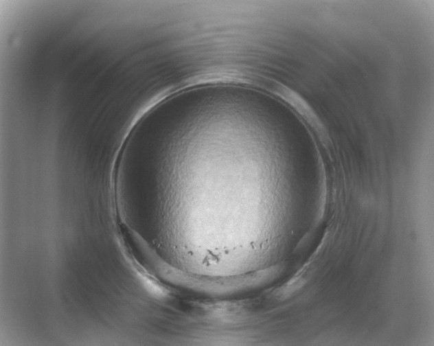 X0000068861242200605051230