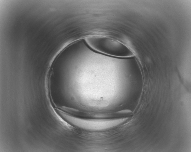 X0000068861243200605051230