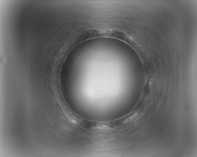 X0000068861249200605051230