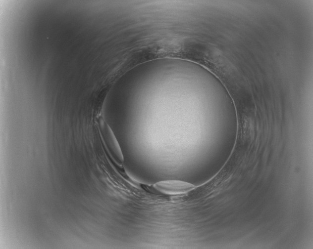X0000068861250200605051230