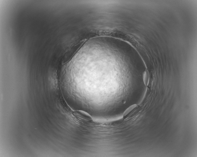 X0000068861252200605051230