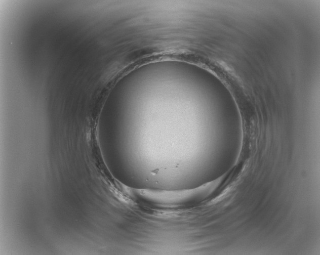 X0000068861257200605051229