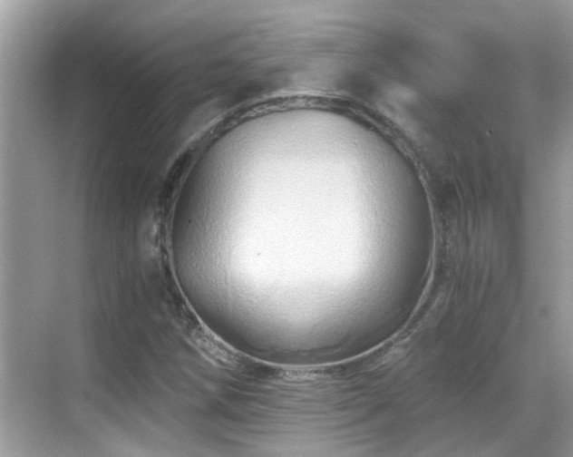 X0000068861258200605051229