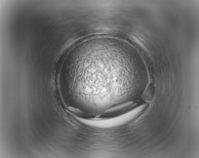 X0000068861259200605051229