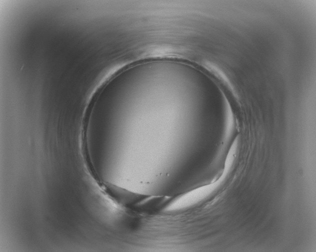 X0000068861277200605051229