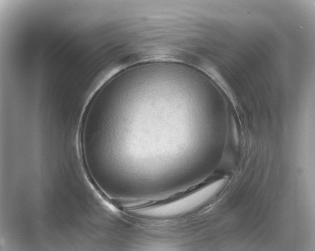 X0000068861293200605051229