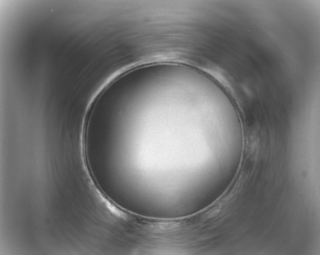 X0000068861294200605051229