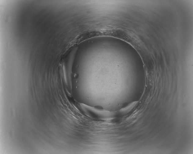 X0000068861298200605051228