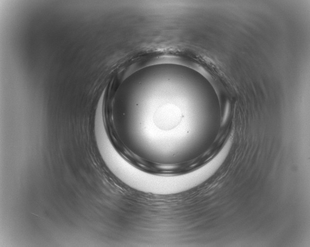X0000068861300200605051228