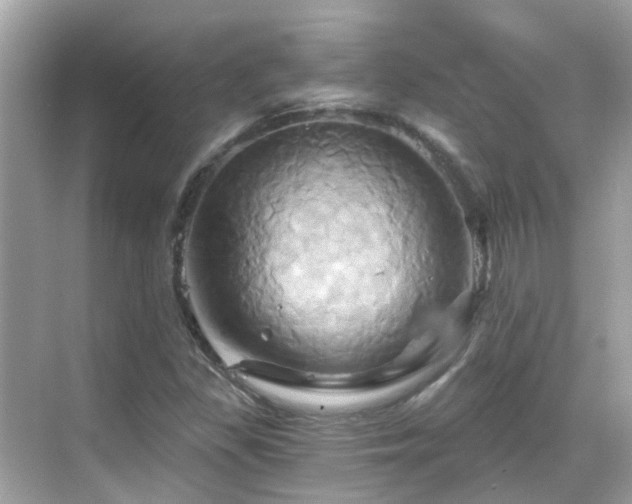 X0000068861309200605051228