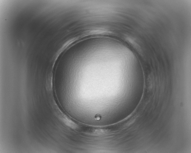 X0000068861322200605051228