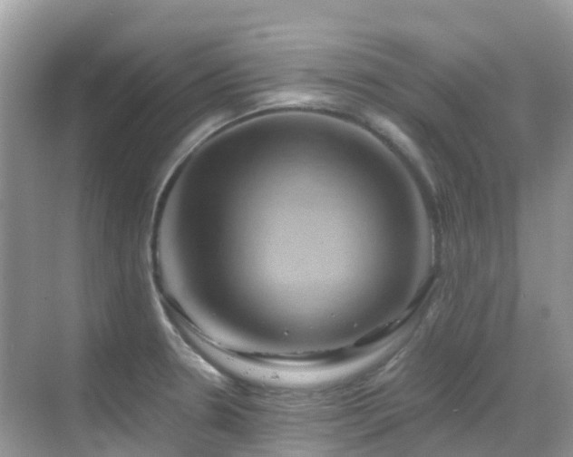 X0000068861330200605051229