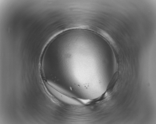 X0000068861332200605051229