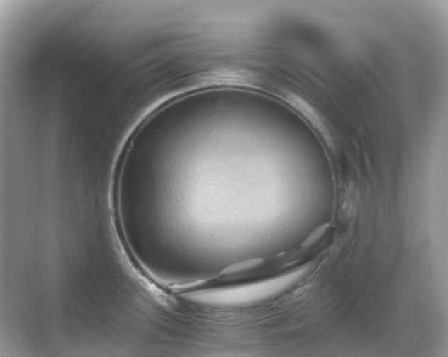 X0000068861339200605051229